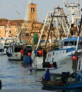 chioggia_pesca