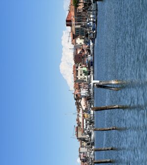 chioggia